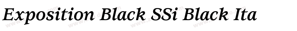Exposition Black SSi Black Italic字体转换